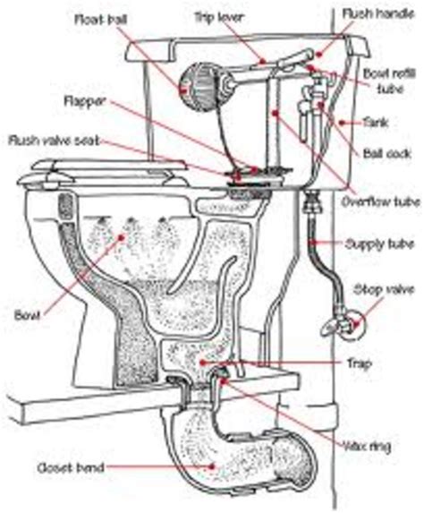 tolites|toilets plumbing.